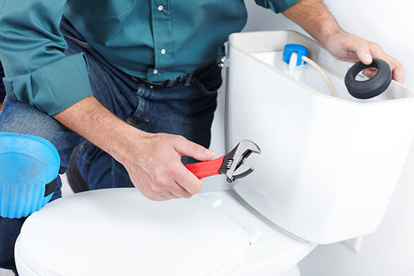 Reliable Toilet Replacement in Summerlin